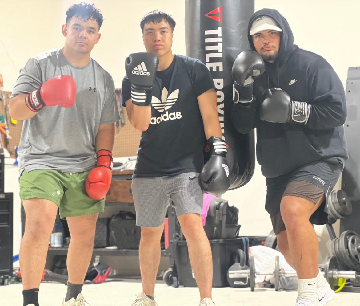 Boxers training at Sweet Science Fight Club